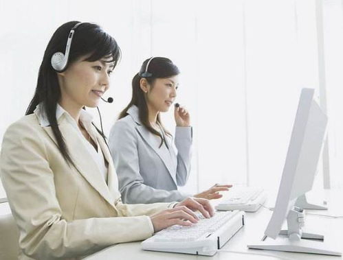 英語專業(yè)畢業(yè)生的黃金賽道 聚焦信息咨詢服務(wù)，開啟無限職業(yè)可能